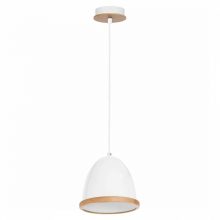 Pendant lamp STUDIO WHITE 1xE27