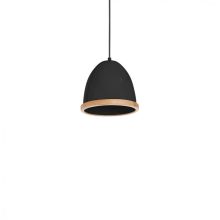 Pendant lamp STUDIO BLACK 1xE27