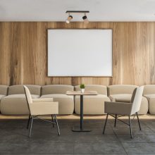 Ceiling  lamp BARON BLACK 2xGU10
