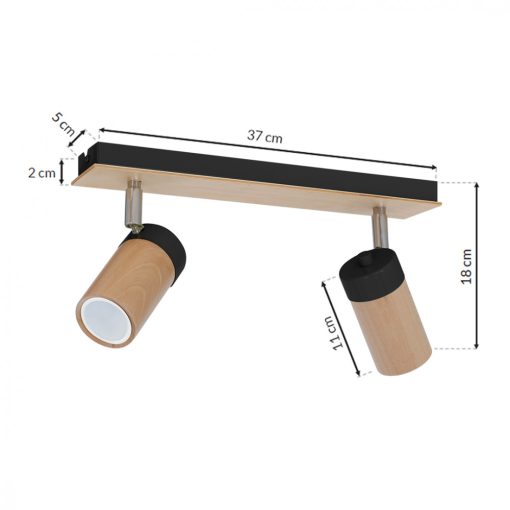 Ceiling  lamp BARON BLACK 2xGU10