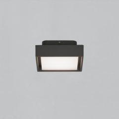   Nexus Ceiling lamp 2083/15 Textured Anthracite, LED 10W 3000K 630lm, CRI90 CL.I IP65, Integrated LED
