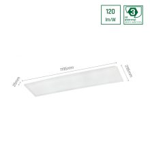 ALGINE PANEL BACKLIGHT 40W CW 230V 120ST IP20 300X1200X25 Fehér